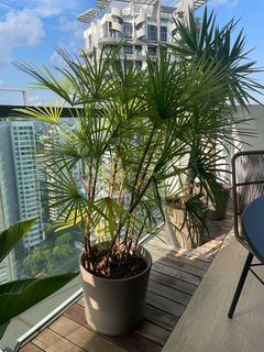 (Category: ) located in . Submitted by paraty (Listing ID 1393934185, Image 1). Description: .
