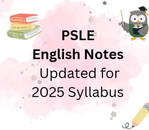 PSLE English Notes, Hobbies & Toys, Books & Magazines, Assessment Books ...