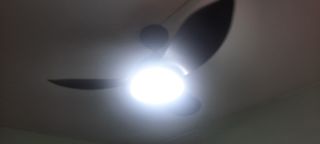 (Category: ) located in . Submitted by noblefish-e6a1 (Listing ID 1393821386, Image 1). Description: .