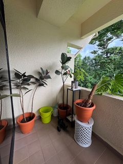 (Category: ) located in . Submitted by locallysourced (Listing ID 1394022161, Image 1). Description: .