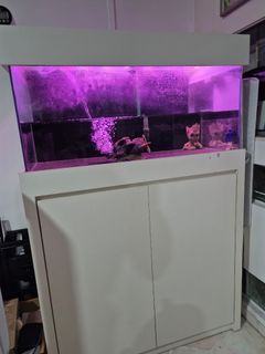 (Category: ) located in . Submitted by fredddiemercury (Listing ID 1394166478, Image 1). Description: .