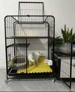 (Category: ) located in . Submitted by furpet (Listing ID 1394027669, Image 1). Description: .