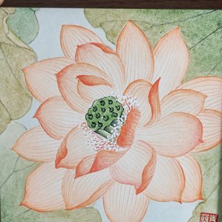 (Category: ) located in . Submitted by chingyulan (Listing ID 1394323123, Image 1). Description: .