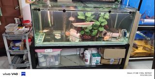 (Category: ) located in . Submitted by skytan1139 (Listing ID 1394208553, Image 1). Description: .