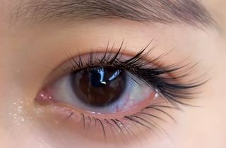 Lash Model64229341416065110