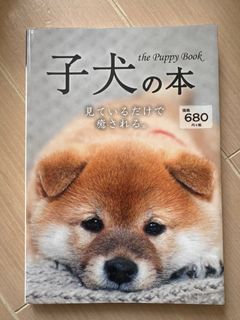 （分類：）位於 。 由 abcforfish 提交（商品編號 1394280816，圖片 1）。簡介： 。