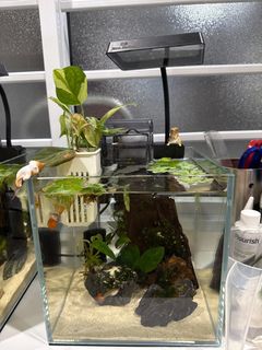 (Category: ) located in . Submitted by hans0808 (Listing ID 1394527555, Image 1). Description: .
