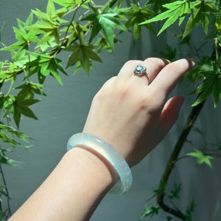 Serpentine For Sale Buy 100+ Serpentine online Carousell Singapore