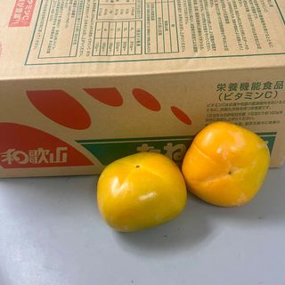 （分類：）位於 。 由 lionfruit 提交（商品編號 1340447939，圖片 1）。簡介： 。