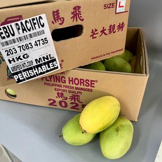 （分類：）位於 。 由 lionfruit 提交（商品編號 1340420583，圖片 1）。簡介： 。