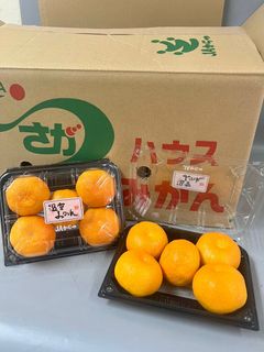 （分類：）位於 。 由 lionfruit 提交（商品編號 1340454329，圖片 1）。簡介： 。