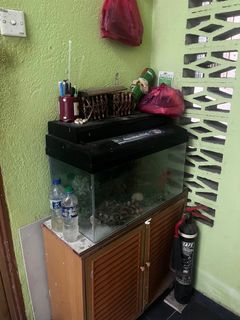 (Category: ) located in . Submitted by 4dhwa (Listing ID 1394746863, Image 1). Description: .