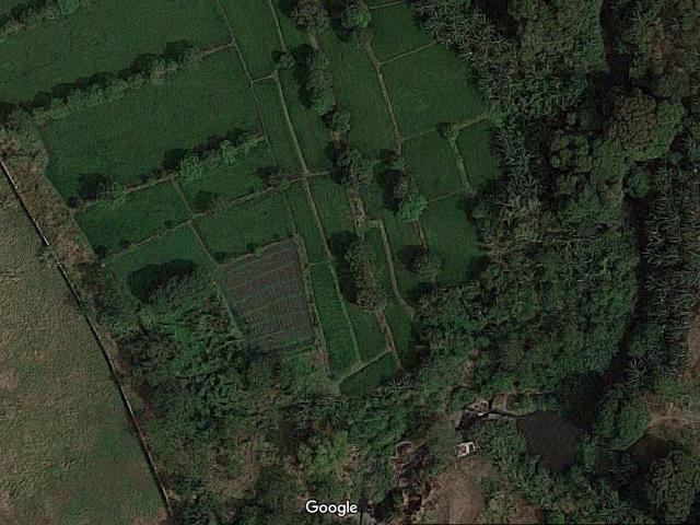 (Category: ) located in . Submitted by 09175146050 (Listing ID 1394634138, Image 1). Description: .