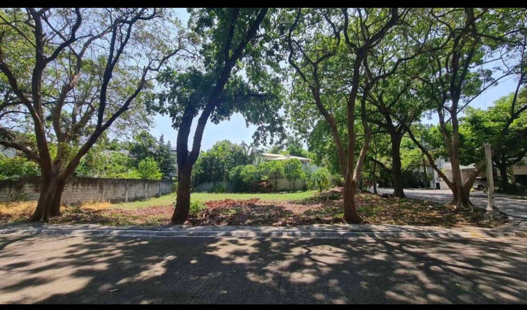 (Category: ) located in . Submitted by themanilenorealtor (Listing ID 1394649208, Image 1). Description: .