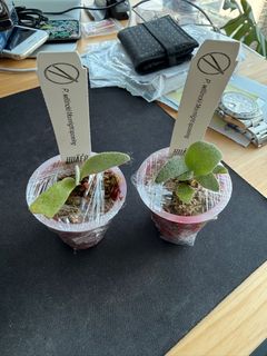 （分類：）位於 。 由 _cray_ 提交（商品編號 1394680191，圖片 1）。簡介： 。