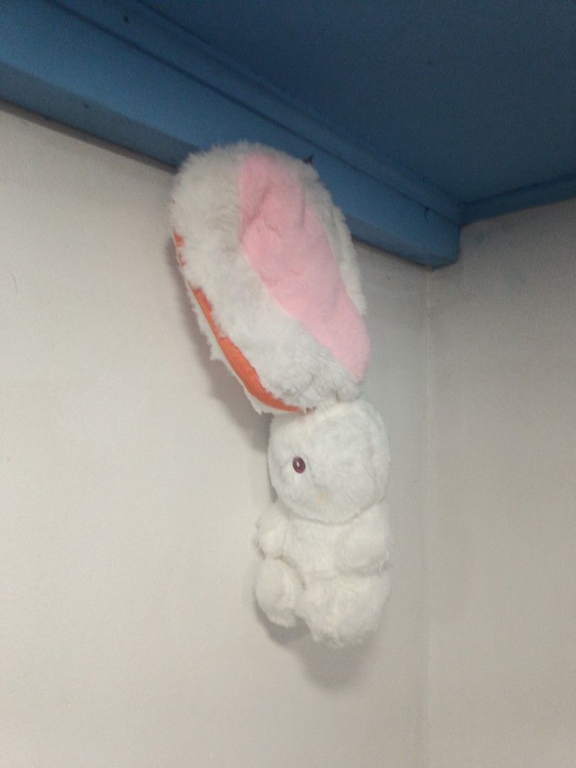 Reversible Carrot Bunny Plushie (Category: Plushies & Soft Toys) located in Quezon City. Submitted by bjetp (Listing ID 1394766964, Image 1). Description: Reversible Carrot and Bunny Plushie Literally hanged the plushie there as a decoration, never used it moving out so I'm selling for cheap.