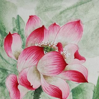 (Category: ) located in . Submitted by chingyulan (Listing ID 1394885172, Image 1). Description: .