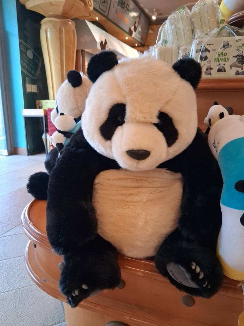 🈶現貨 #愛寶樂園代購 KR🇰🇷 韓國代購 愛寶樂園 Everland Fubao 福寶 熊貓公仔 巨型大公仔🧸 《下單前請先觀看購買購物須知 ...