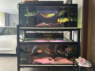 (Category: ) located in . Submitted by cokesum (Listing ID 1394797745, Image 1). Description: .