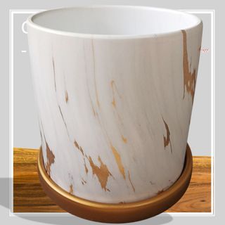 🌱 Soils, Amendments and more🌱 Collection item 2