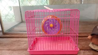 (Category: ) located in . Submitted by adryyann (Listing ID 1394889880, Image 1). Description: .