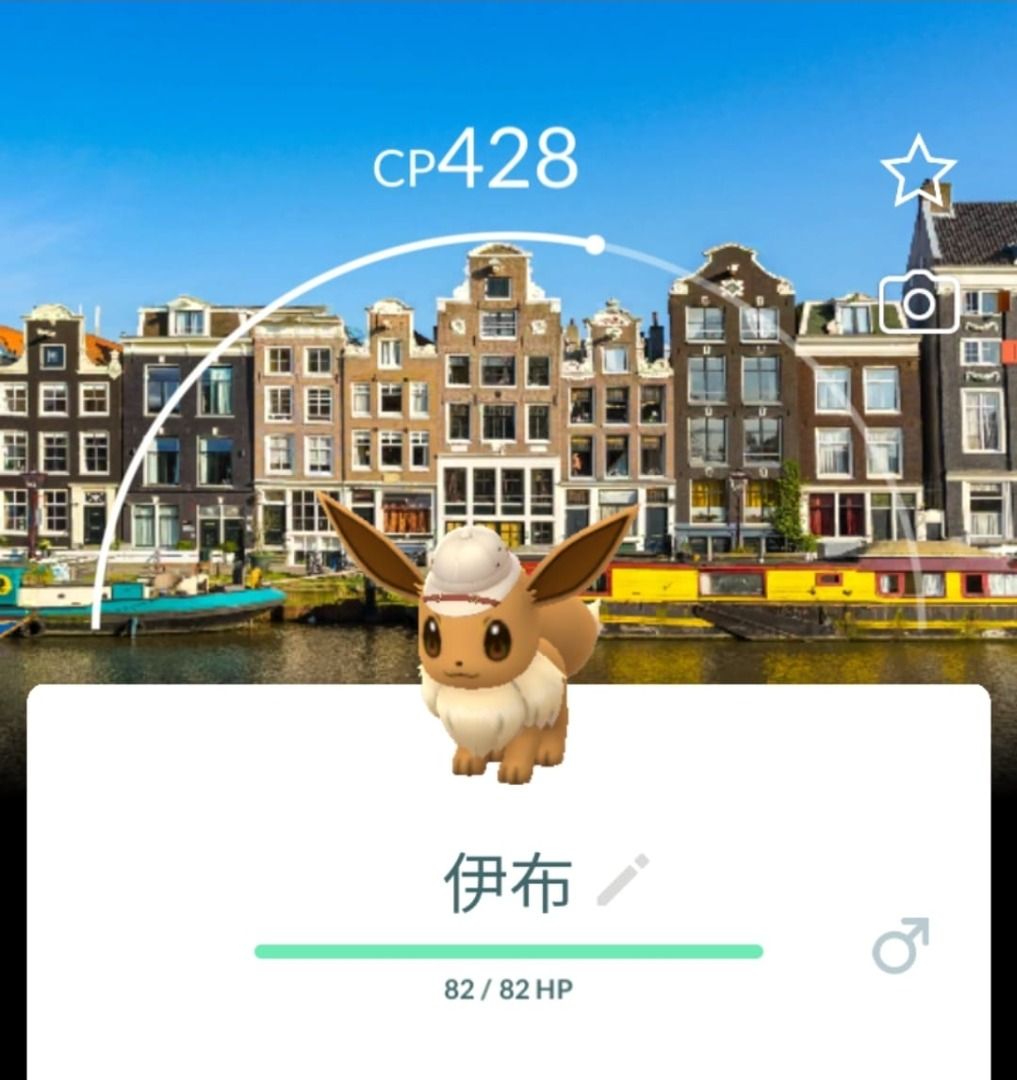 🇳🇱荷蘭紀念背卡伊布伊貝Eevee 背景location background 活動寵物小精靈寶可夢Pokemon GO Pokémon go,  電子遊戲, 遊戲機配件, 遊戲週邊商品- Carousell