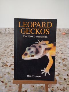Leopard gecko gecko For Sale | Carousell Singapore