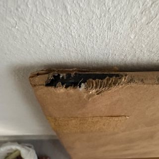 (Category: ) located in . Submitted by fcukbush (Listing ID 1394977009, Image 1). Description: .