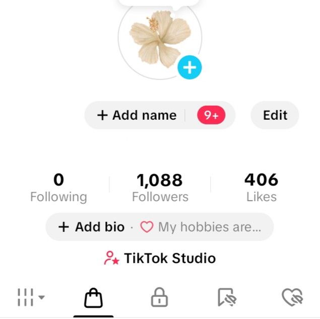 Tiktok account 💝 (Category: Cameras) located in Pasay City. Submitted by charm.boosting (Listing ID 1395017868, Image 1). Description: for sale! has tiktok shop good for affiliate 💝.