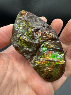 Fortune-Bringing Iridescent Ammolite Raw Stone (Free SF Express Locker Delivery for Orders Over $500)64213877668994110