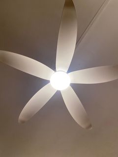(Category: ) located in . Submitted by gleefulturkey (Listing ID 1395272552, Image 1). Description: .