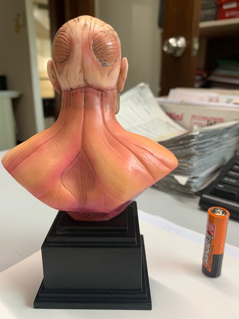 Colossal Titan bust 14cm (Category: Figurines & Statues) located in Paranaque City. Submitted by obin08 (Listing ID 1395166979, Image 3). Description: .