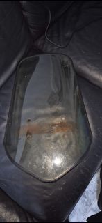 (Category: ) located in . Submitted by RangerGreg (Listing ID 1395332658, Image 1). Description: .