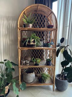 (Category: ) located in . Submitted by geesree (Listing ID 1395258239, Image 1). Description: .