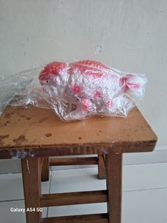 （分類：）位於 。 由 five500 提交（商品編號 1395258491，圖片 1）。簡介： 。