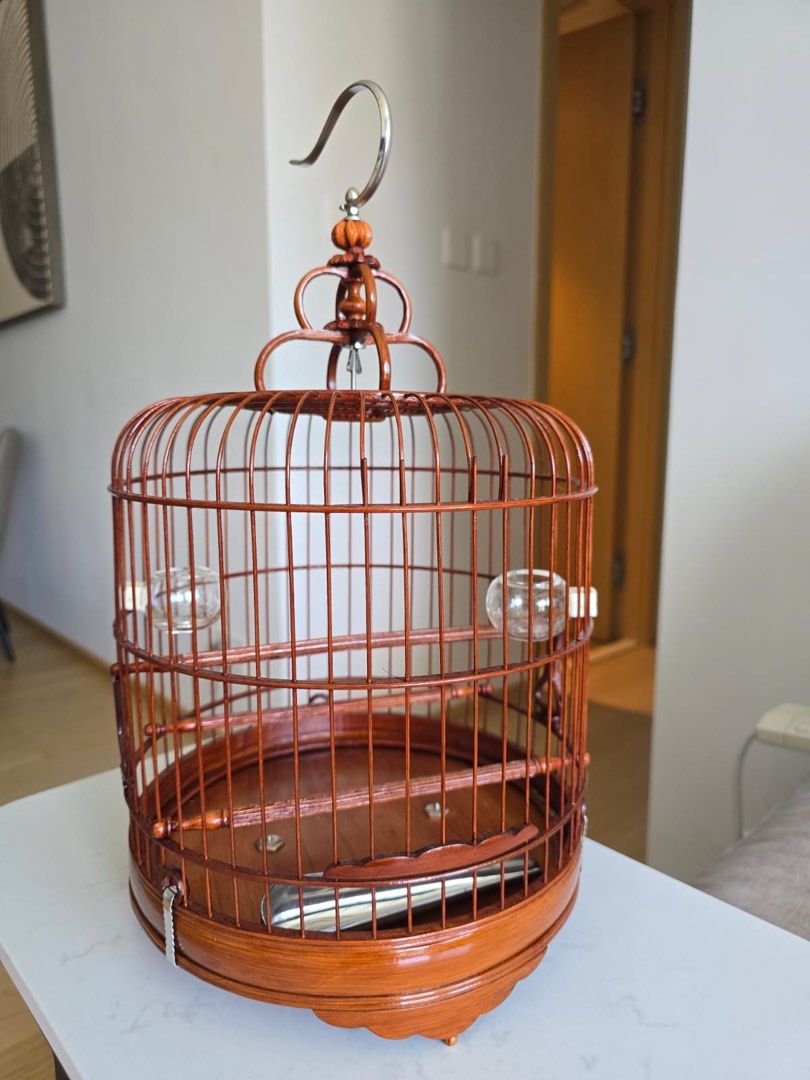 全新雀籠竹鳥籠, 寵物用品, 寵物家品及其他- Carousell