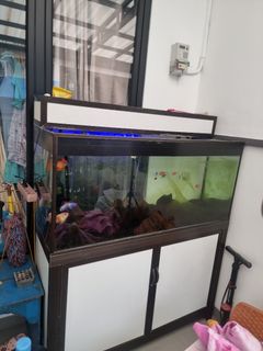 (Kategori: ) berada di . Dikirim oleh putinilamsuri (ID iklan 1395420244, Gambar 1). Deskripsi: .