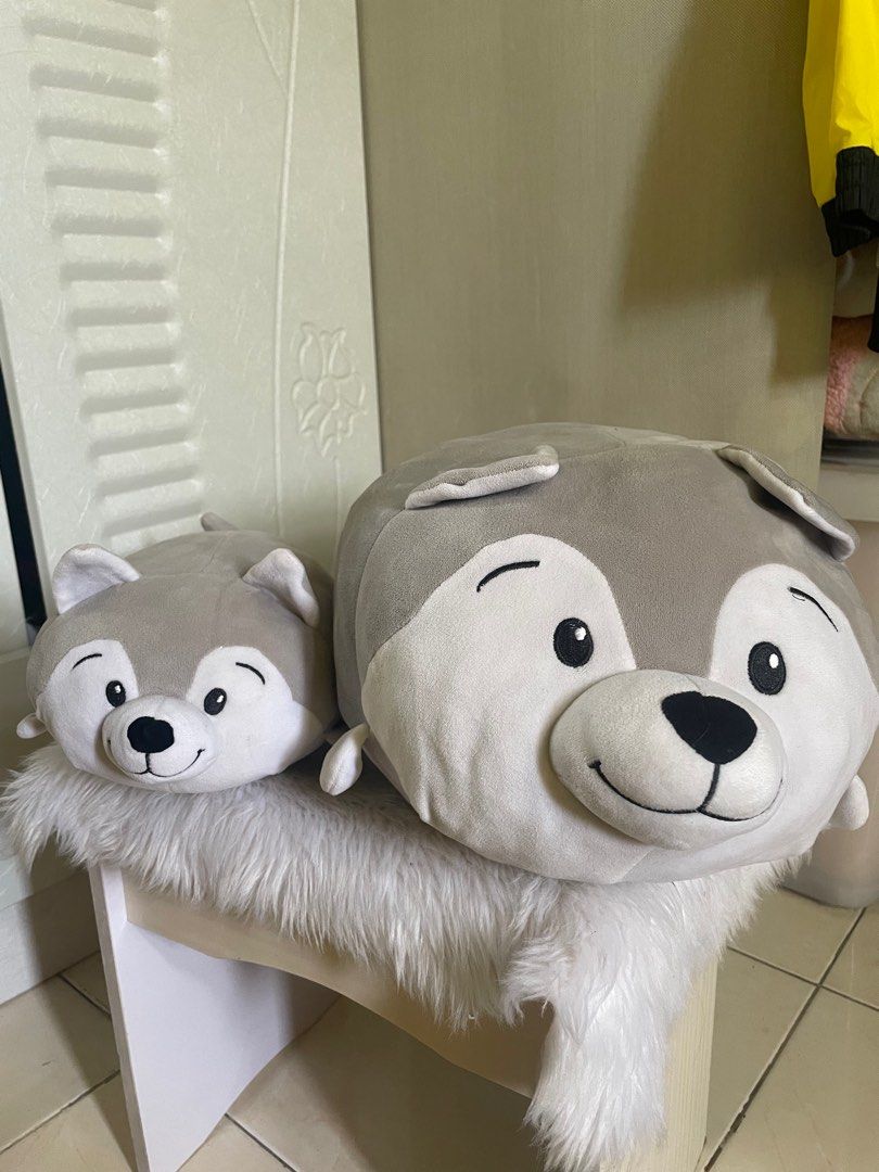 Blue Magic Husky Plush Pillow (Category: Plushies & Soft Toys) located in Manila. Submitted by jandee12345 (Listing ID 1395413246, Image 3). Description: perfect pang regalo 🤍 not abused!! good condition loc: Novaliches QC.