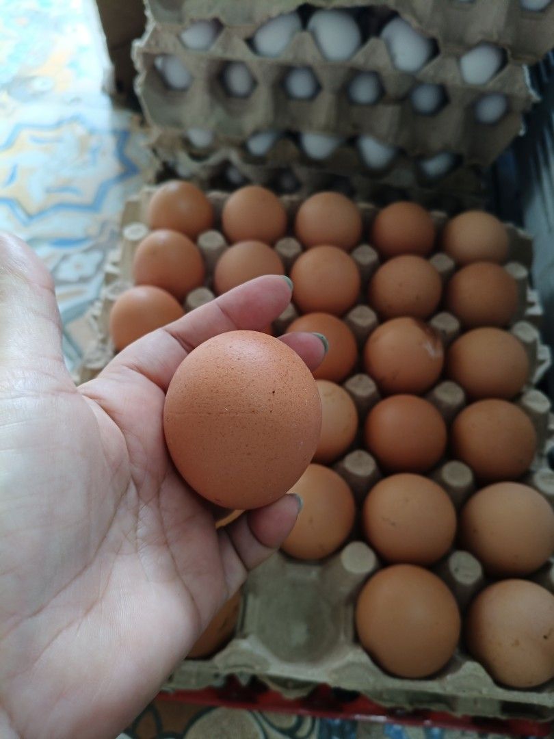 Fresh Brown Eggs (Category: Fresh Produce) located in Bocaue. Submitted by ac465881 (Listing ID 1395474745, Image 2). Description: - Freshly laid brown eggs - 30 pieces per tray - Great for cooking and baking - Sourced from a local farm - Get yours now!.