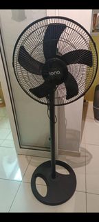 (Category: ) located in . Submitted by serenepet (Listing ID 1395368560, Image 1). Description: .
