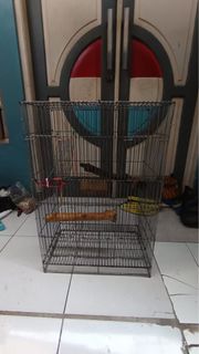 (Kategori: ) berada di . Dikirim oleh putreg (ID iklan 1390416651, Gambar 1). Deskripsi: .