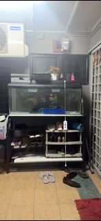 (Category: ) located in . Submitted by ahbi97 (Listing ID 1390532514, Image 1). Description: .