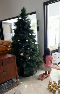 (Category: ) located in . Submitted by riemae (Listing ID 1390425128, Image 1). Description: .