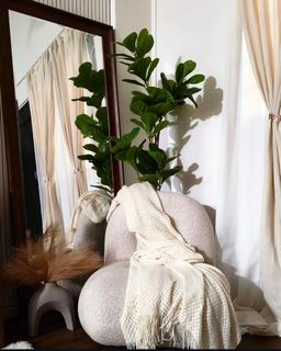(Category: ) located in . Submitted by findyourown (Listing ID 1390531127, Image 1). Description: .