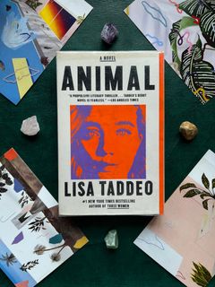 TPB] GAYLE FORMAN: I WAS HERE | MYSTERY, Hobbies & Toys, Books