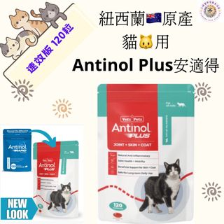 （分類：）位於 。 由 chubbypetlivingshop 提交（商品編號 1296346659，圖片 1）。簡介： 。