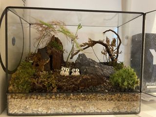 (Category: ) located in . Submitted by thesmokingfrog (Listing ID 1395645651, Image 1). Description: .