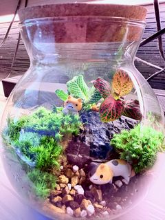 (Category: ) located in . Submitted by happyjjap (Listing ID 1395645861, Image 1). Description: .