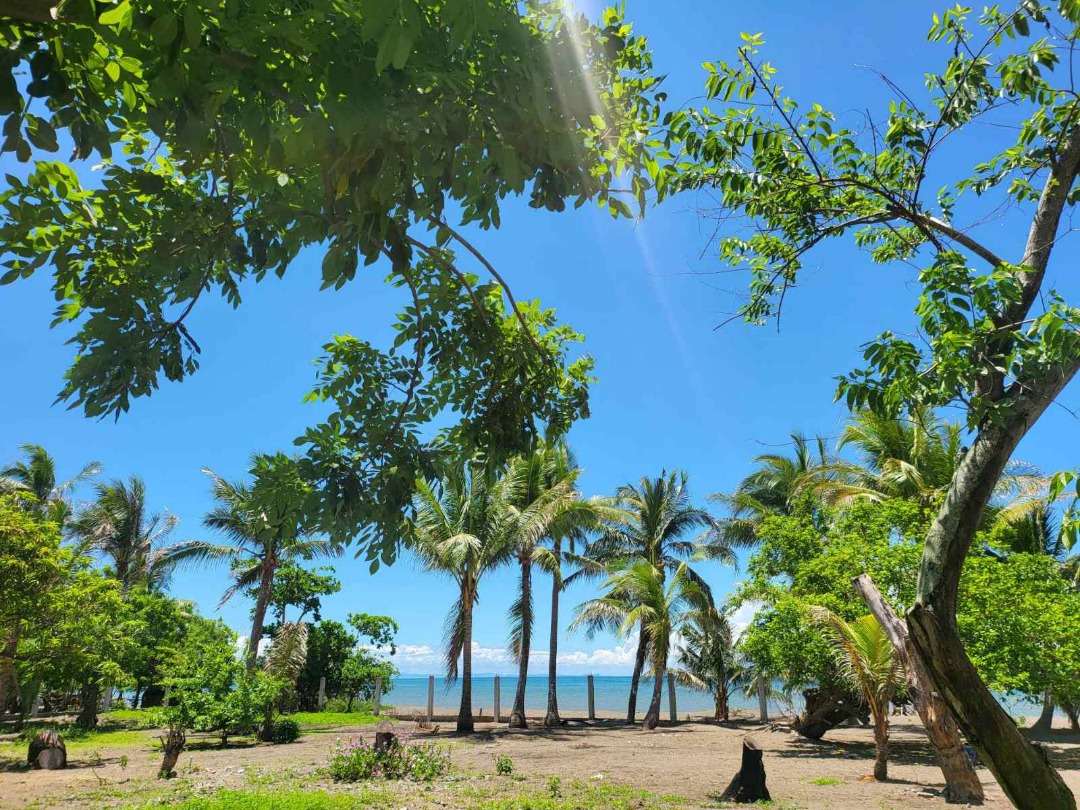 (Category: ) located in . Submitted by luxerealtyph (Listing ID 1395566015, Image 1). Description: .