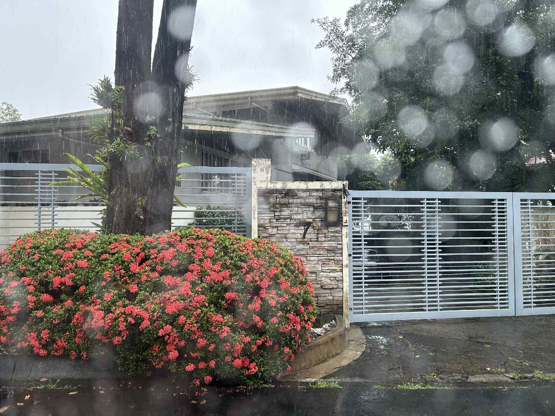 (Category: ) located in . Submitted by miguel.realestate (Listing ID 1395597319, Image 1). Description: .